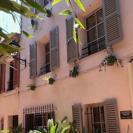 Les Petits Volets A 100m De La Apartment