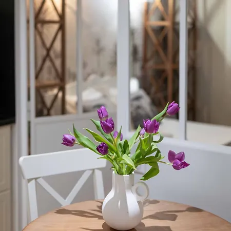 Les Petits Volets A 100m De La Apartment Antibes
