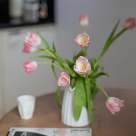 Διαμέρισμα Les Petits Volets A 100m De La Αντίμπ