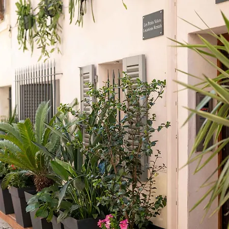 Apartment Les Petits Volets A 100m De La Antibes