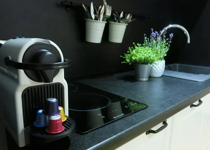 Les Petits Volets Antibes